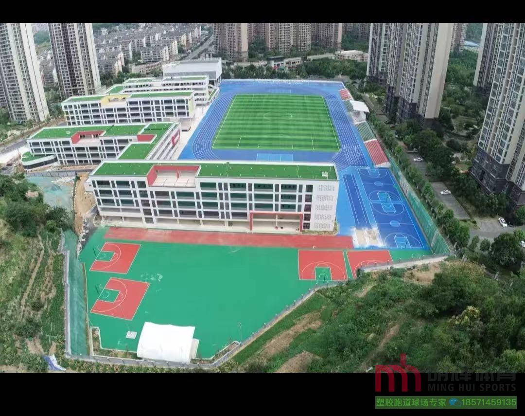 EPDM塑胶跑道宜昌市田家炳中小学田径场塑胶跑道